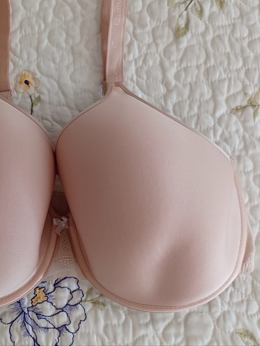 Chantelle Full Coverage T-Shirt Bra, Size 36H - Picture 8 of 16